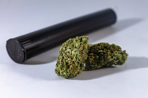 Gratis lagerfoto af cannabis, græs, illegal