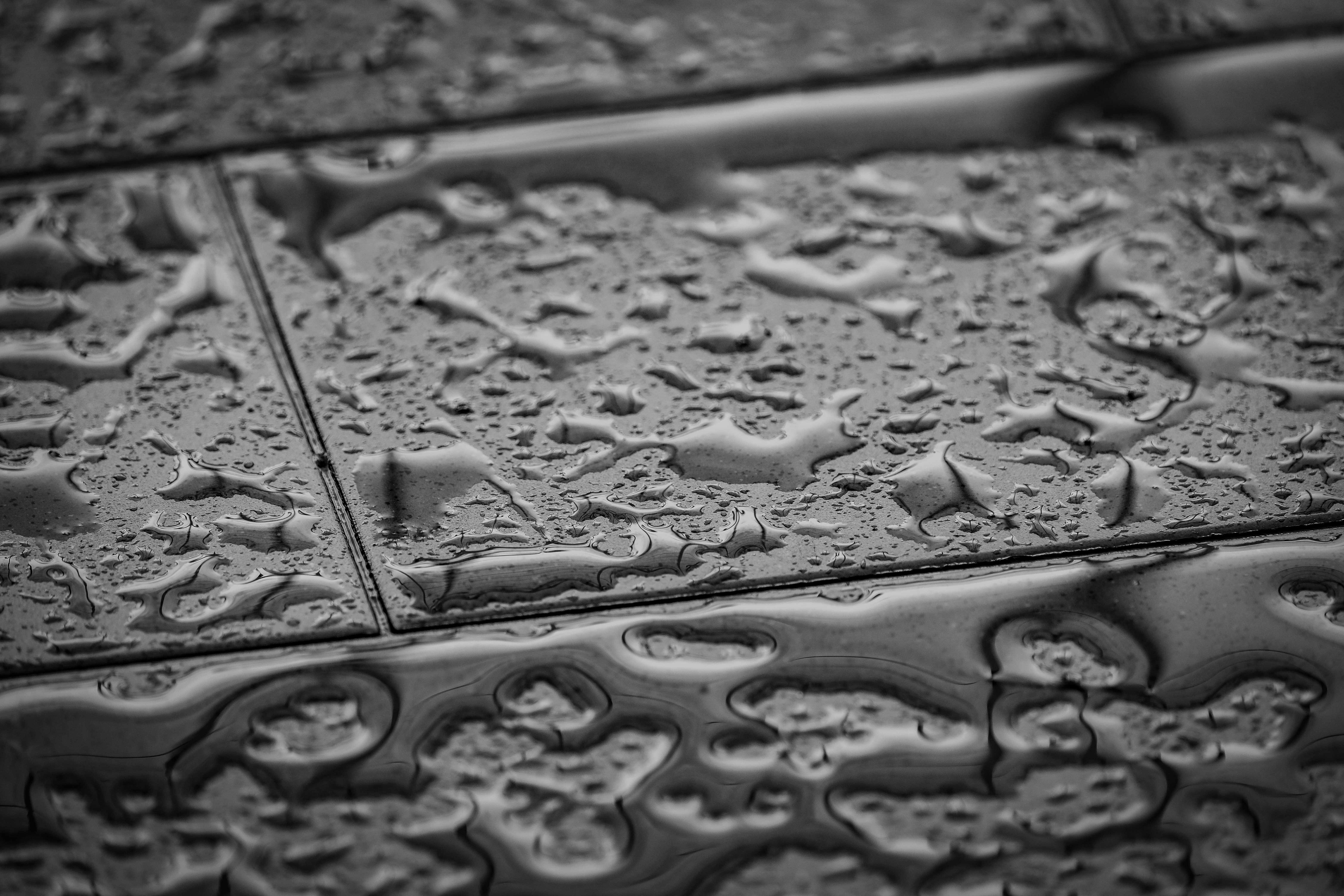 Close-up of bathroom floor tiles with water droplets highlighting texture and durability for Indianapolis remodels