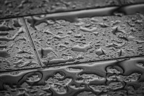 Grayscale Photo of Water Droplets on Tiled Floor