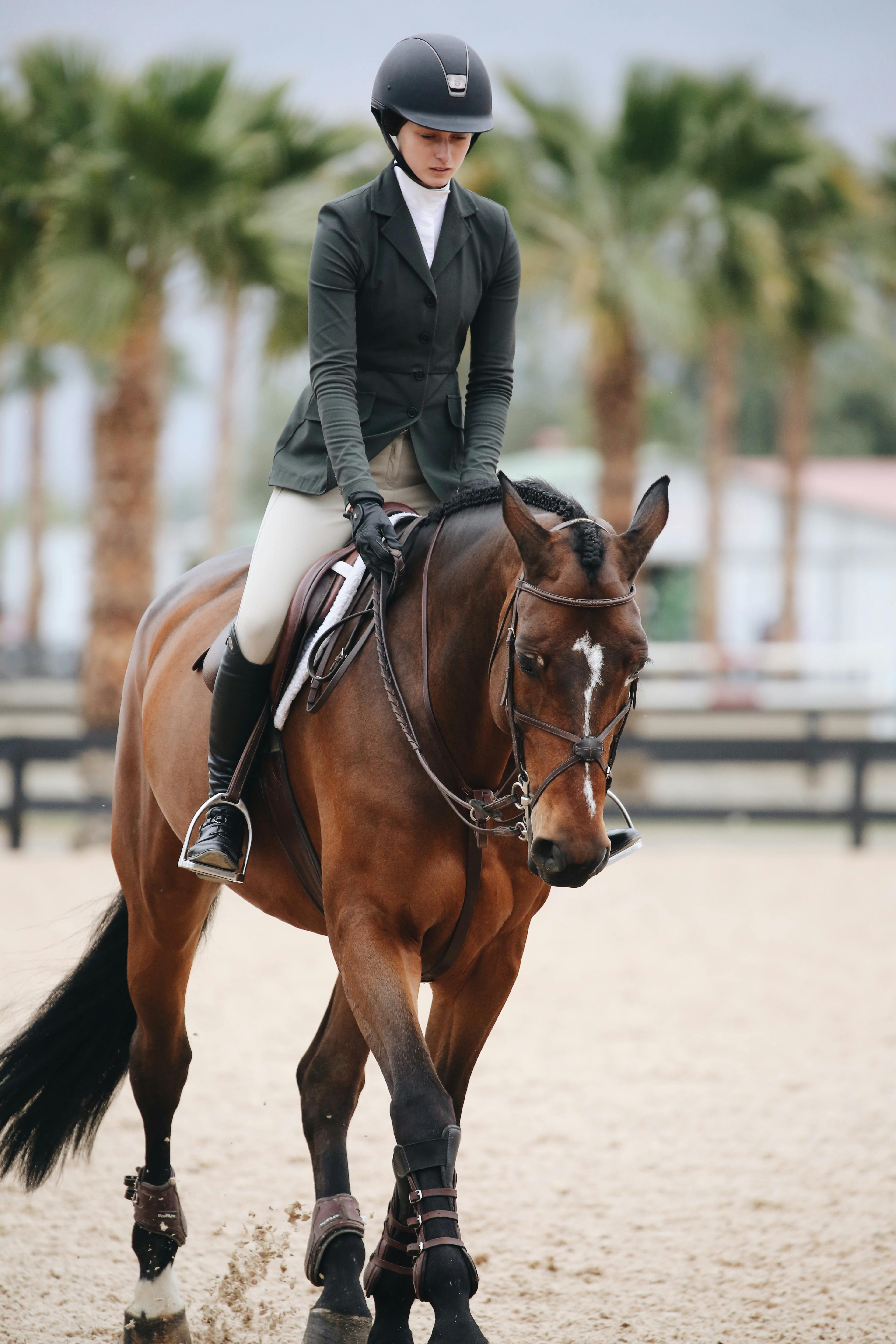 person riding brown horse put his feet on horse saddle free birthday images for facebook