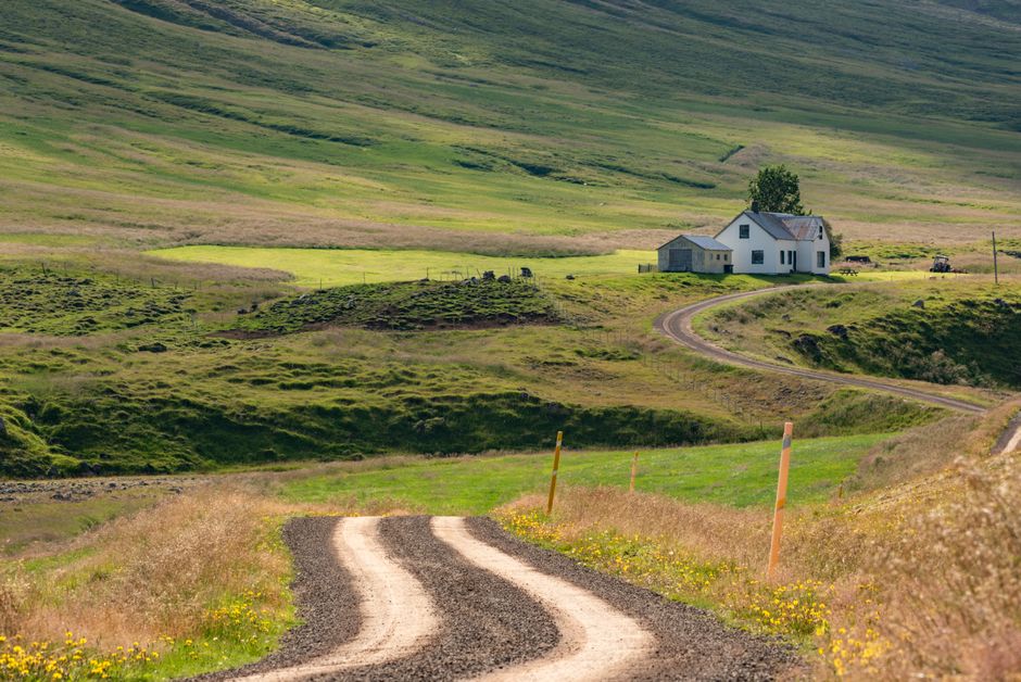 Beautiful Icelandic countryside with a dirt road leading to a solitary house surrounded by lush green plains.
