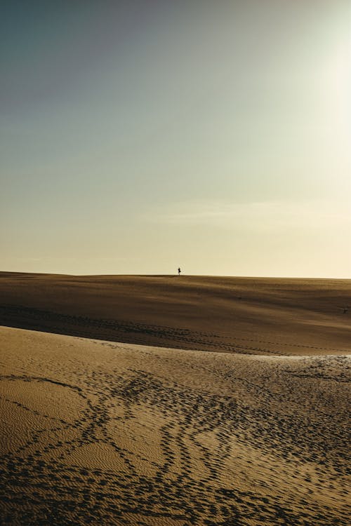 Free Person Walking on Brown Sand Stock Photo