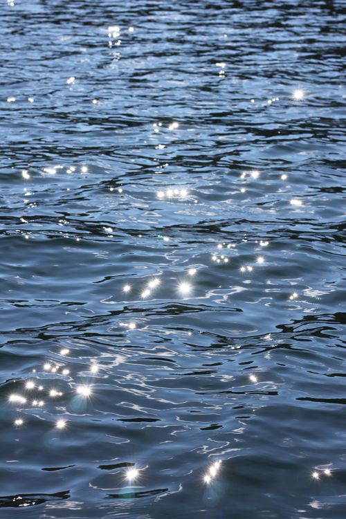 Sparkling Sunlight on Ocean Waves · Free Stock Photo