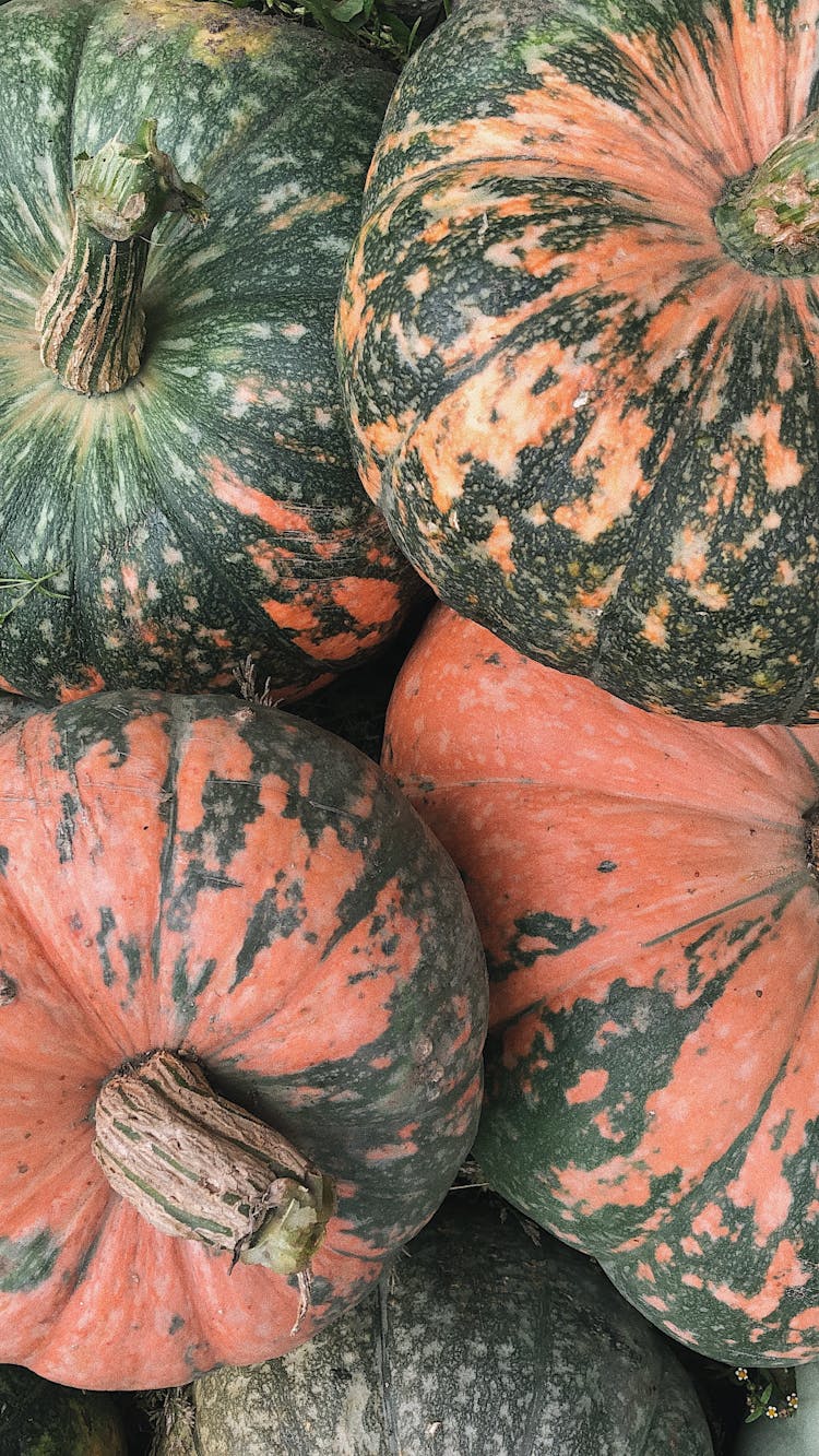 Closeup Of Pink And Green Pumpkins