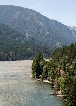 Aerial view of Columbia River and lush green forest in Hood River, Oregon.