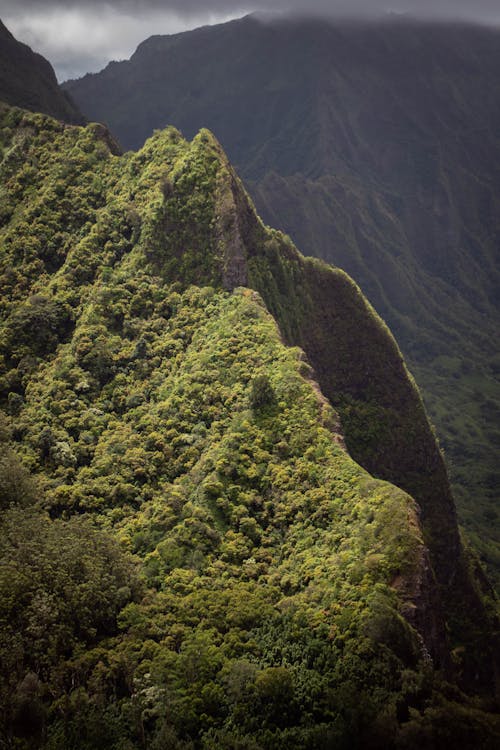 Aerial Footage of Green Mountains