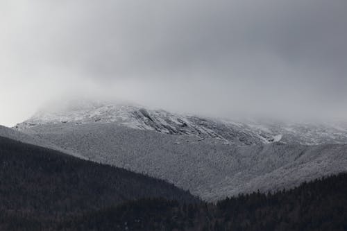 Gratis stockfoto met bergen, bomen, Bos