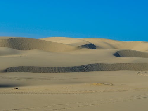 Foto profissional grátis de deserto, estéril, fotografia da natureza