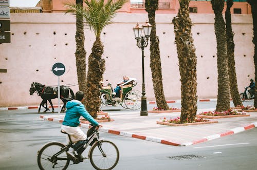 Gratis lagerfoto af arkitektur, bygning, cykel