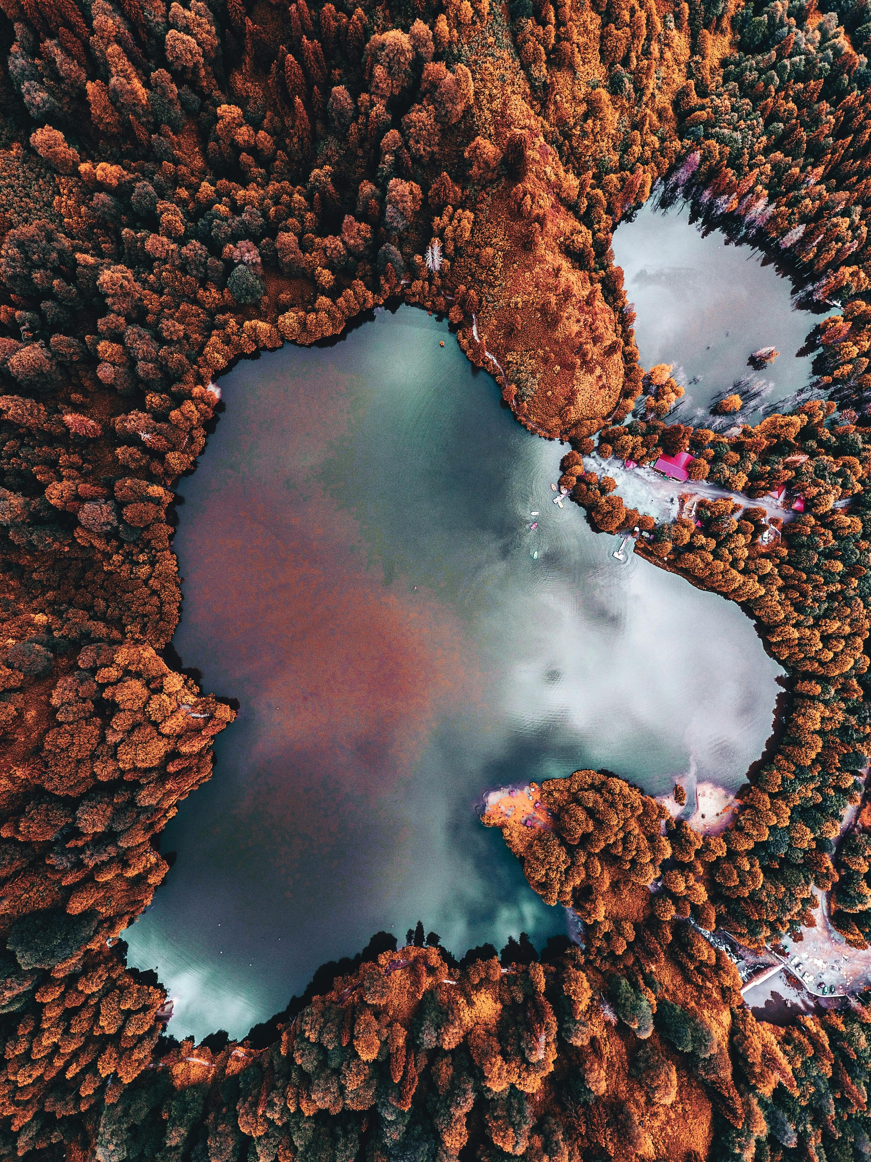 Discover the serene beauty of Artvin, Turkey's lake surrounded by vibrant fall foliage from above.
