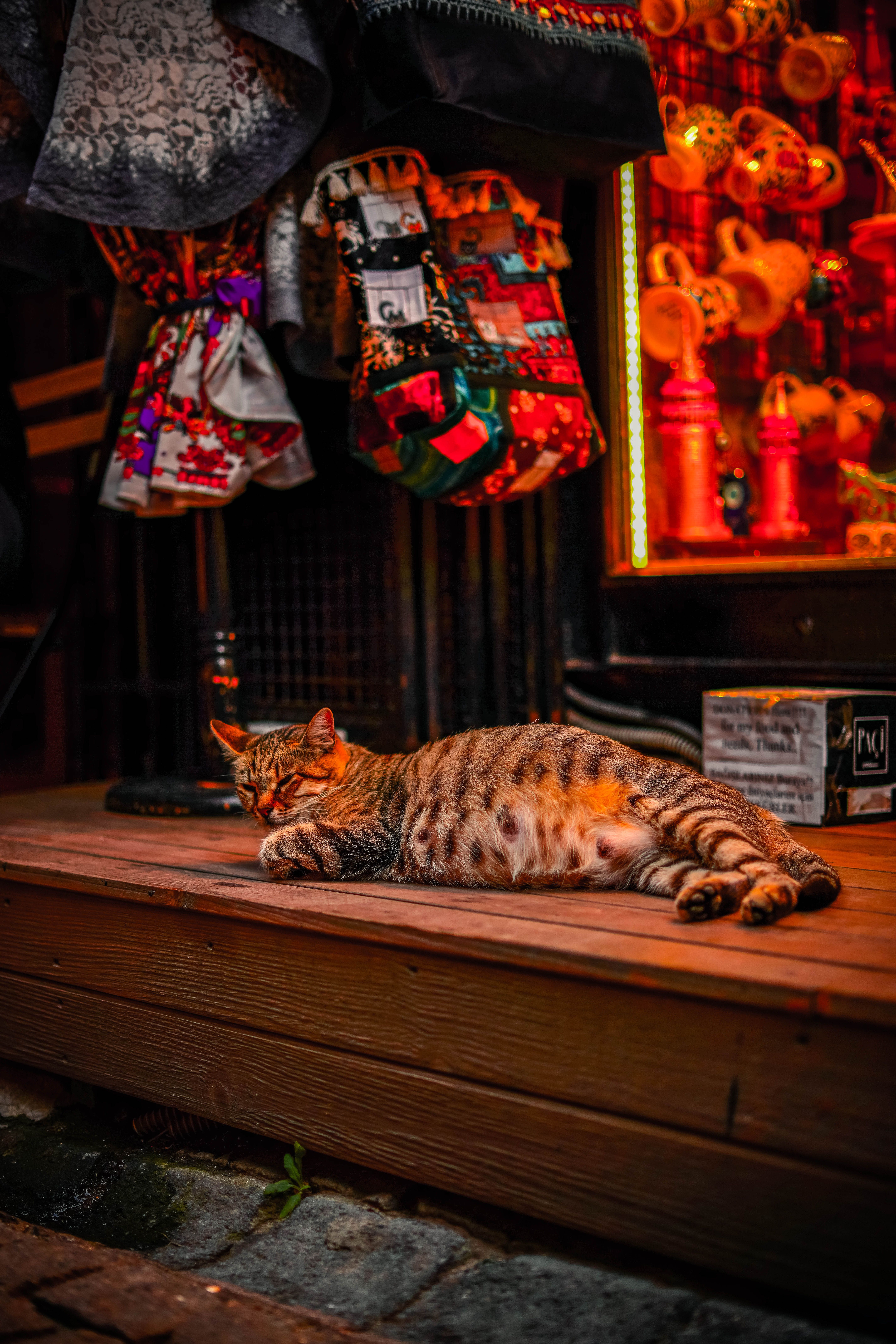 Brown Tabby Cat on lying Brown Wooden Table · Free Stock Photo