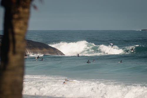 Photos gratuites de gens, plage, surfer
