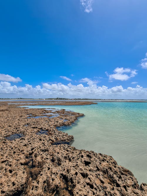 คลังภาพถ่ายฟรี ของ กลางแจ้ง, ชายหาด, ท้องฟ้าสีคราม