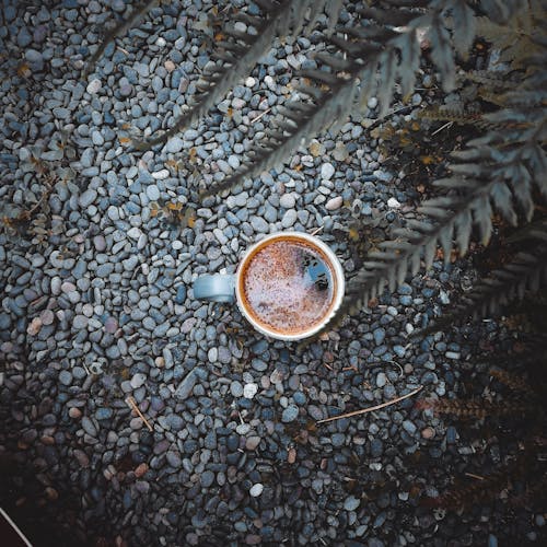 Immagine gratuita di bere caffè, caffè del mattino, caffè nero
