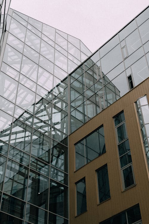 Low Angle Shot of Glass Building