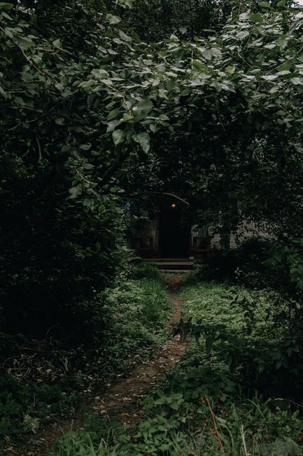 Explore the enigmatic dirt path through dense foliage leading to a shadowy entrance.