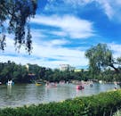 在菲律宾碧瑶市的伯纳姆公园，划船湖的风景优美，湖面上漂浮着五颜六色的划桨船，四周环绕着郁郁葱葱的绿树