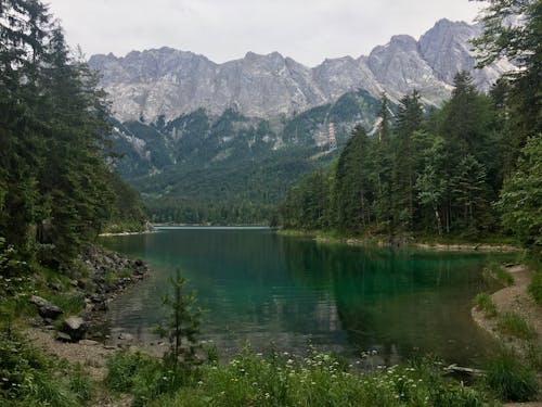 Free stock photo of alpine, alps, bavaria