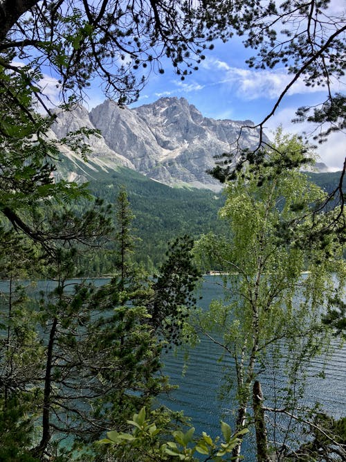 Free stock photo of alpine, alps, bavaria