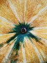 Yellow and Green Sunflower Painting