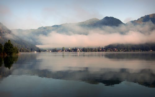 Thick Fog Over Body of Water 