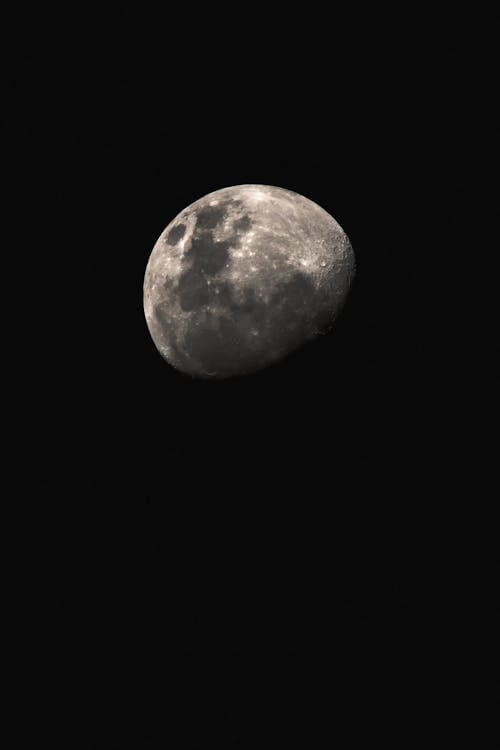 Free Moon on Dark Sky Stock Photo