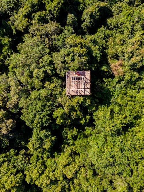 A Square Structure in the Middle of the Forest