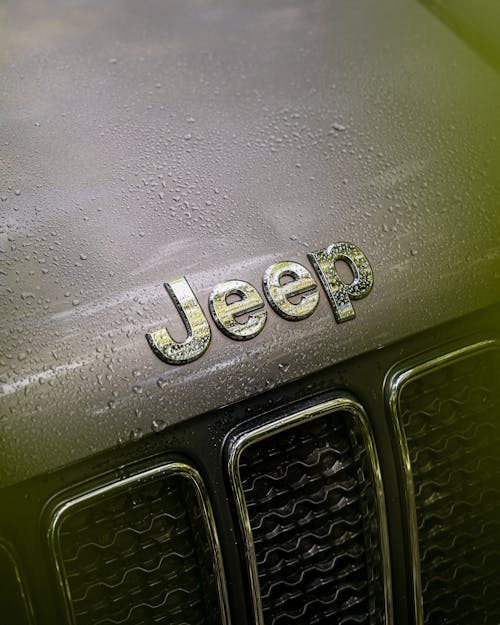 Chrome Emblem of a Vehicle