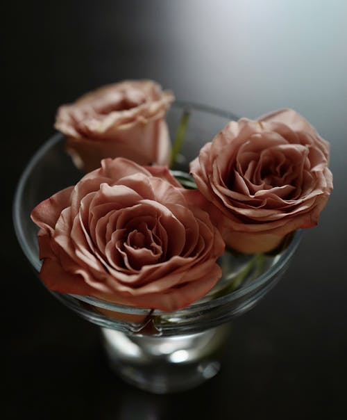 Close-Up Shot of Peach Roses in Glass Vase