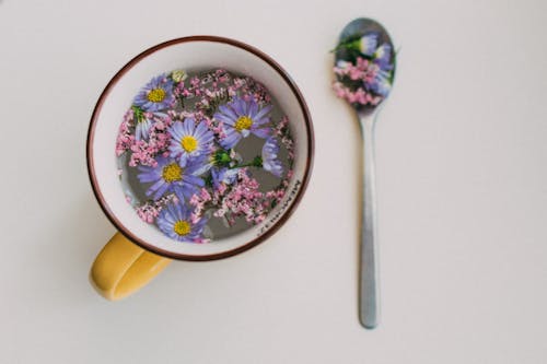 Kostenloses Stock Foto zu flach liegen, keramik-tasse, kleine blumen