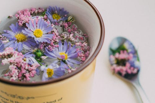 Pink and Purple Flowers in the Cup