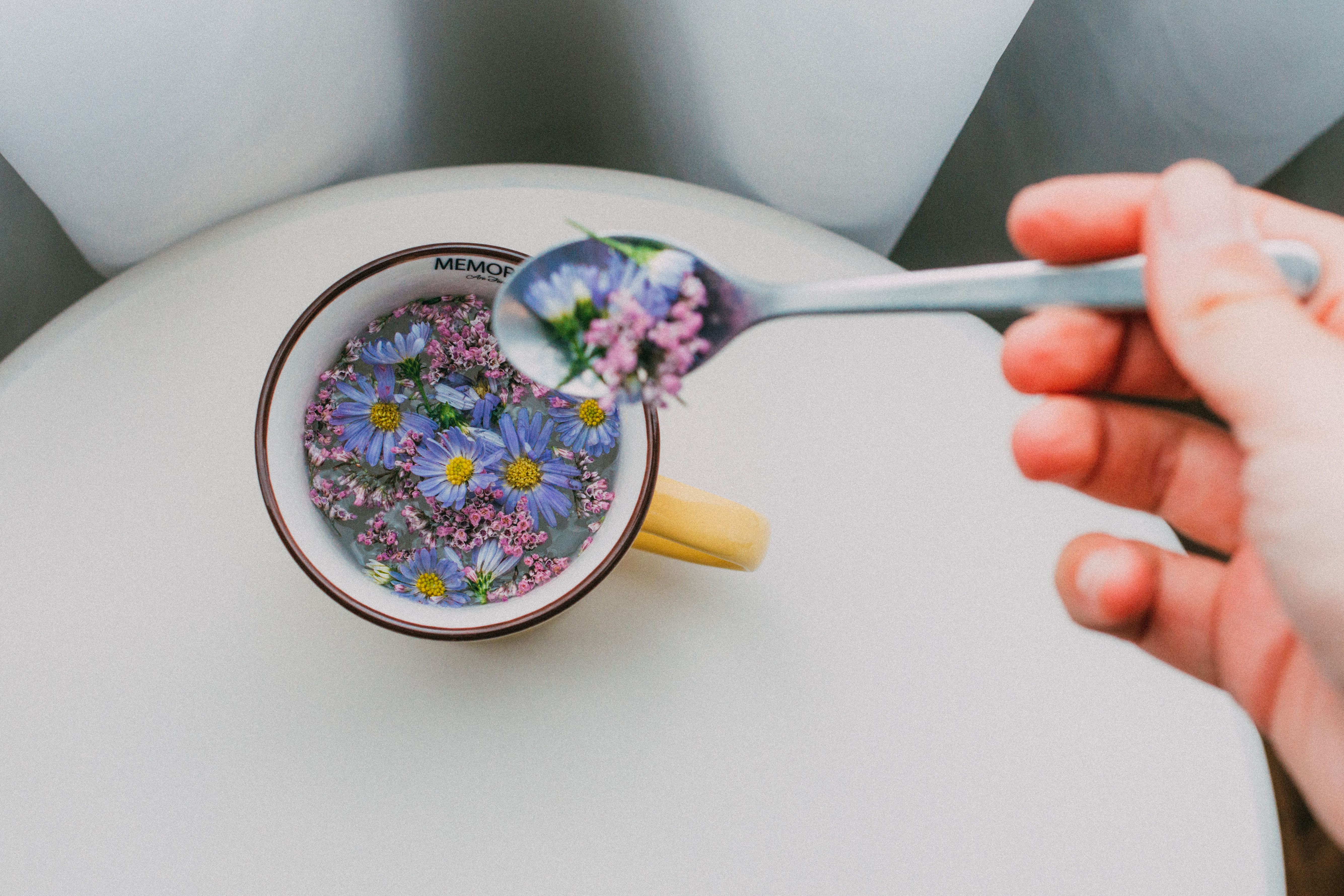 Les 7 Fleurs Comestibles Oubliées qui Nourrissent votre Énergie Vitale et Réveillent vos Sens