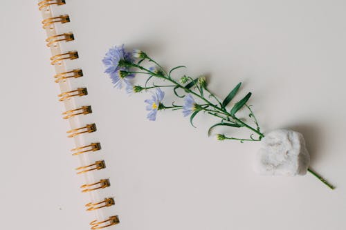 Purple and White Flowers on White Notebook