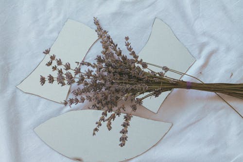 Dry Flowers on Broken Mirror