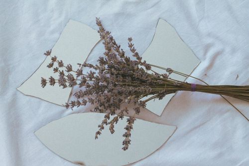 Free Artistic shot of dried lavender on broken mirror shards, creating a reflective texture. Stock Photo