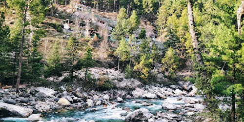 Photographie En Accéléré D'une étendue D'eau Entourée D'arbres