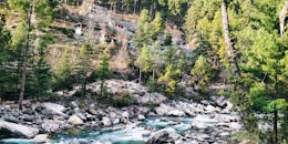 一条充满活力的河流流经印度卡索尔森林茂密的山丘，展现了大自然的美丽