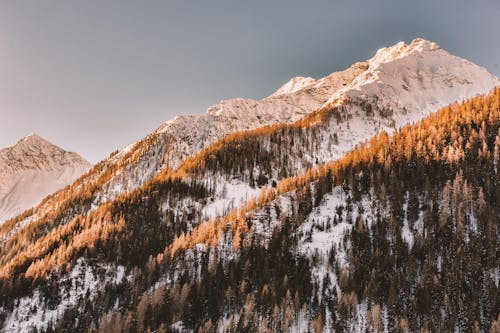Ilmainen kuvapankkikuva tunnisteilla Alpit, flunssa, huippu