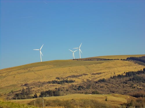 青い空の下の緑の野原にある3つの白い風車