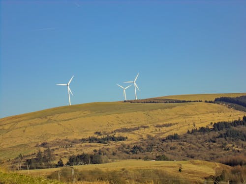 Trois Moulins à Vent Blanc Sur Champ Vert Sous Le Ciel Bleu