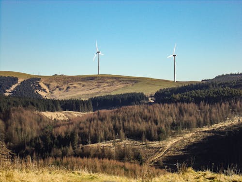 Základová fotografie zdarma na téma alternativní energie, denní světlo, ekologie