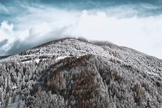 Scenic view of a snow-covered mountain peak surrounded by frosty trees in Lutago, Italy.