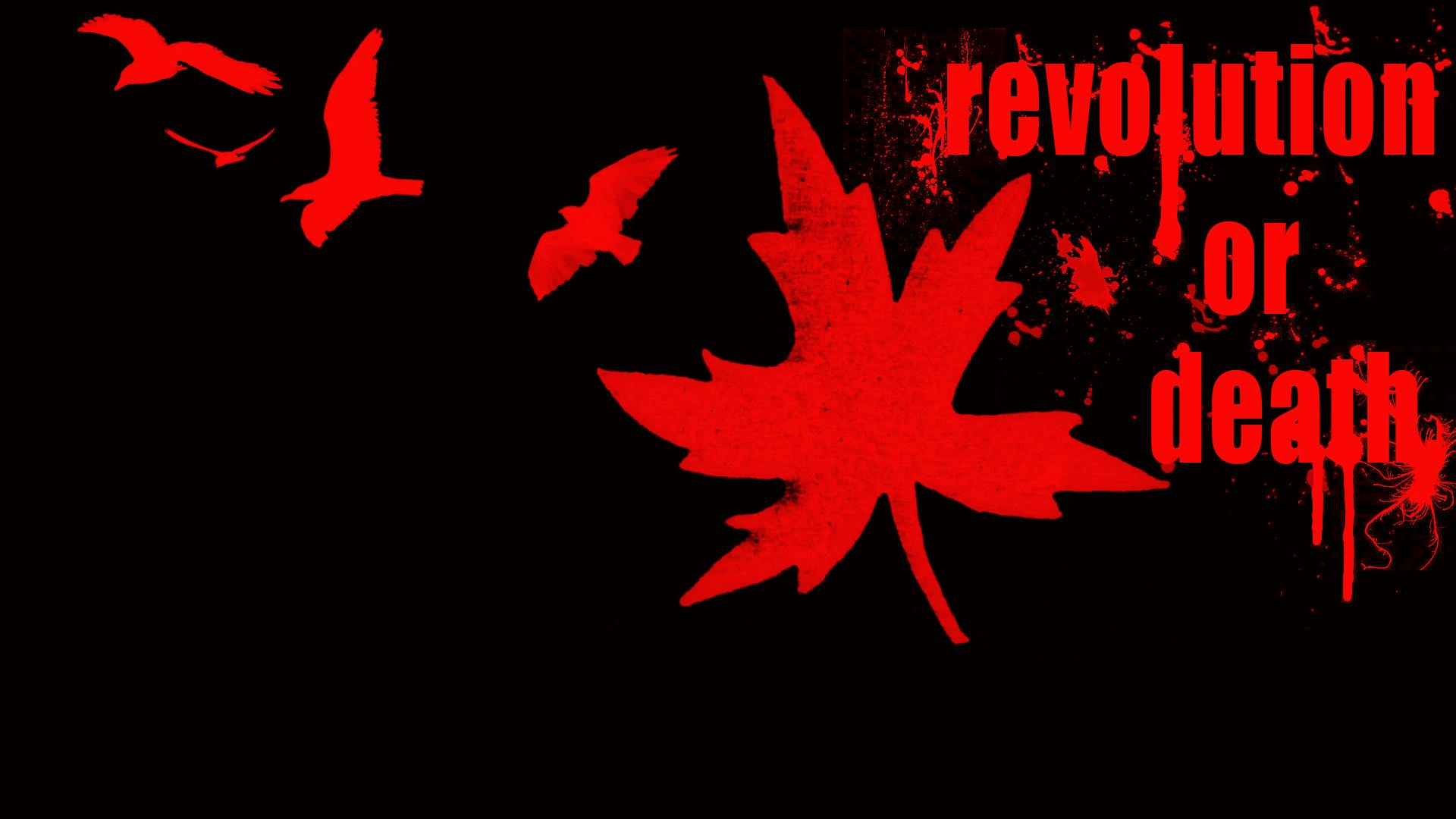 Ucretsiz Devrim Facebook Kapak Stok Fotografi