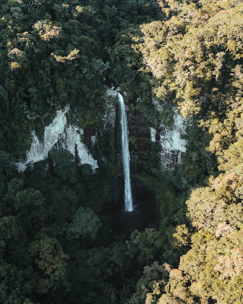 Foto d'estoc gratuïta de arbres verds, cascades, foto des d'un dron