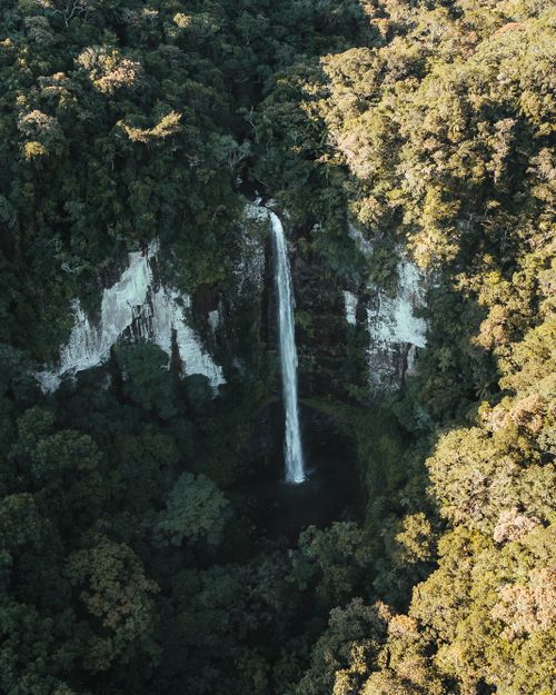 Free Stunning aerial view of a waterfall in lush Brazilian rainforest. Stock Photo