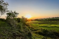 农村里，绿色的田野和树木上方，晴朗的天空中映照着美丽的日落