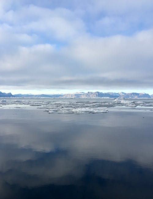 Photos gratuites de froid, gelé, givré