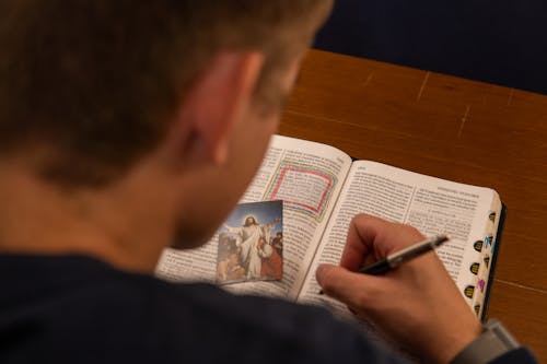 Foto stok gratis agama, Alkitab, belajar