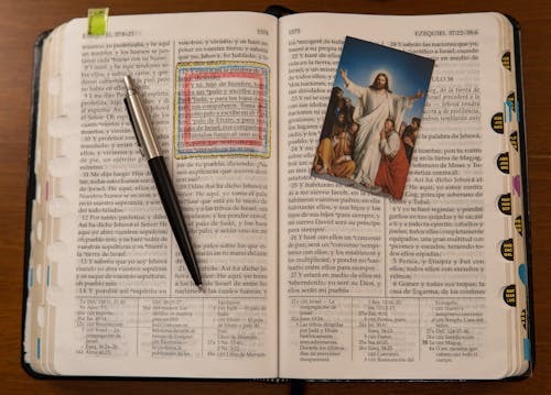 Gratis lagerfoto af åben bog, Bibel, billede Lagerfoto
