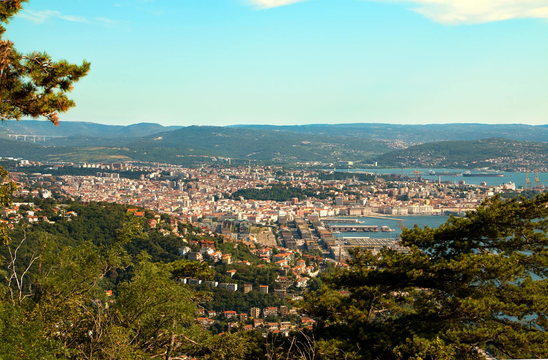 Scenic aerial view of Trieste cityscape with lush greenery and Adriatic Sea on a sunny day.